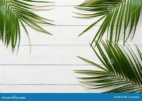 Three Palm Branches on a White Wooden Background. Stock Photo - Image of tropical, space: 98615786