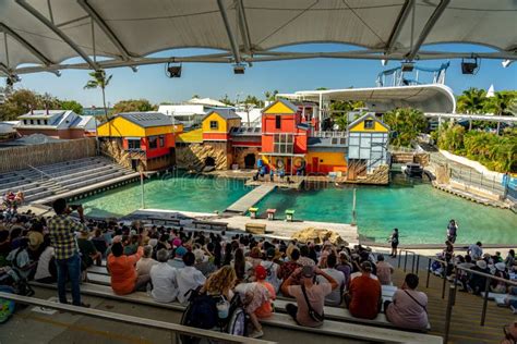 Gold Coast, Queensland, Australia - Seal Show at Seaworld Theme Park ...