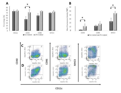 Investigation of surface markers of mature dendritic cells on the ...