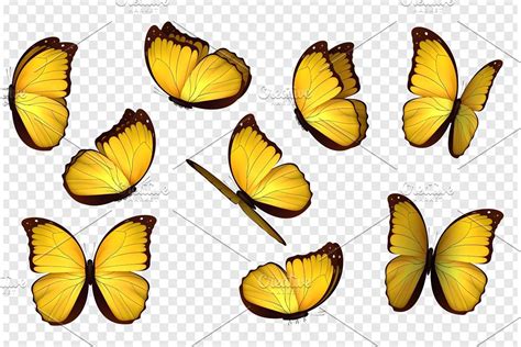 227 Yellow Butterfly Svg SVG PNG EPS DXF File