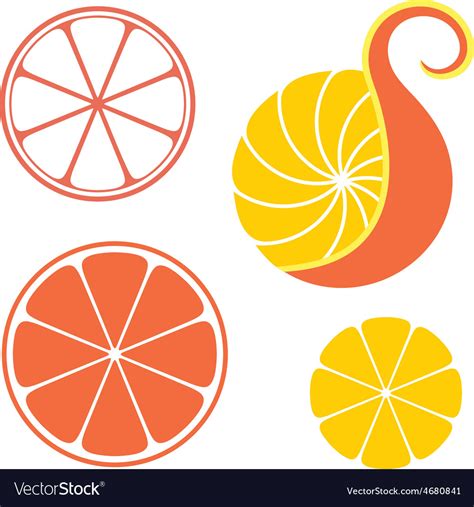 Orange Royalty Free Vector Image - VectorStock