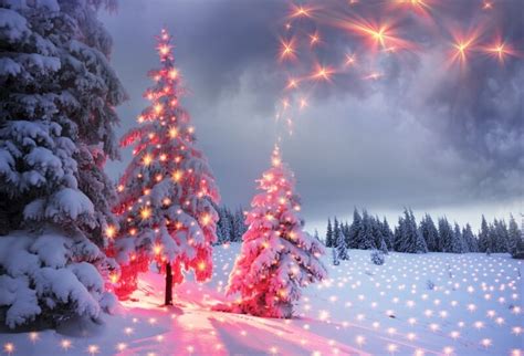 Christmas Photography Backdrops Fire Sparks Christmas Tree On The Snow Background Sale