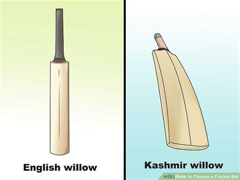 3 Ways to Choose a Cricket Bat - wikiHow