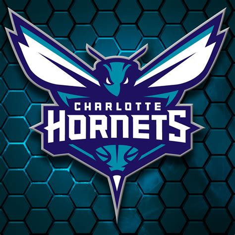 New Charlotte Hornets Logo : nba