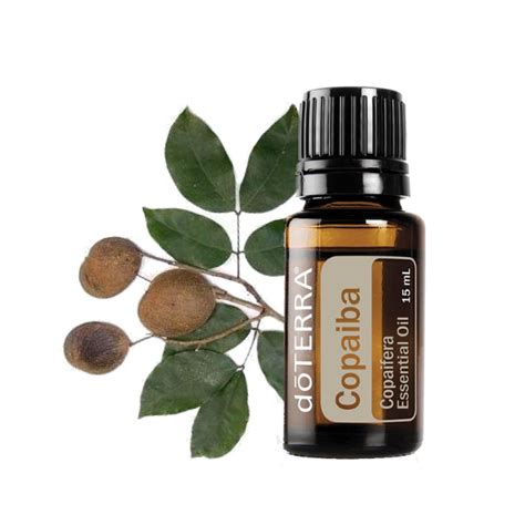 Copaiba doTERRA - Natural Infinito