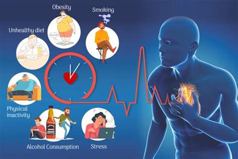 Cardiovascular System Causes Symptoms Treatment Cardiovascular System - Riset