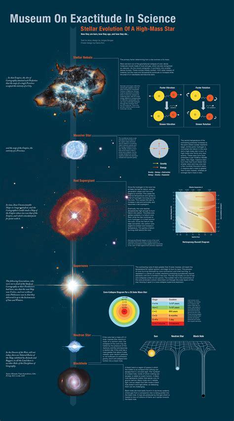 Stellar Evolution Infographic — ELAINE KIM