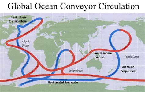 1 -Carte de la circulation thermohaline. Source 1 . | Download ...