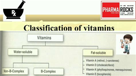 Fat And Water Soluble Vitamins Chart