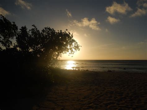 Start of last Fiji sunset this trip | Sunset, Island resort, Sunrise sunset