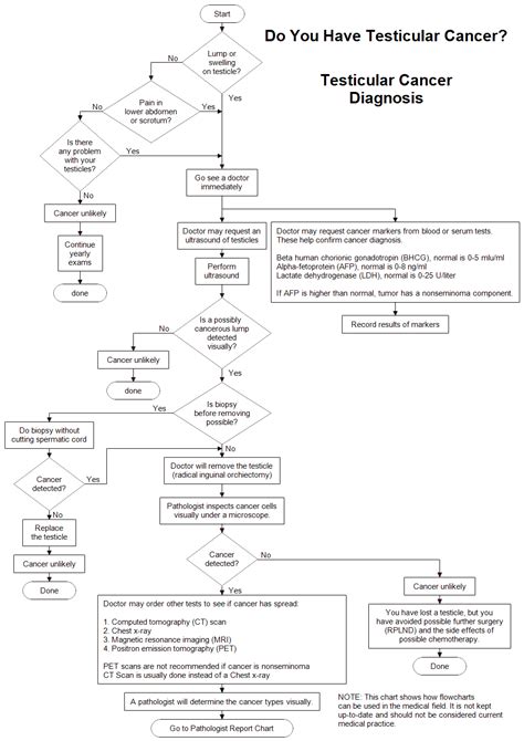 Testicular Cancer Diagnosis