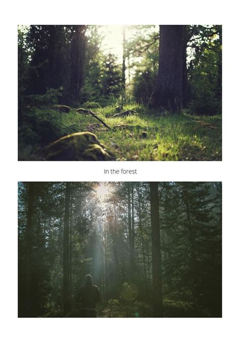 Nature Photographer Portfolio Template - Flipsnack