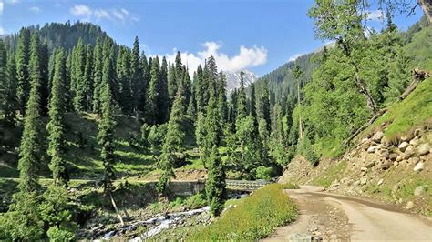 Kashmir Travel Diary | Lolab and Bangus valleys in Kashmir: A travel diary - Telegraph India