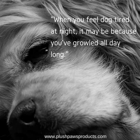 When you feel dog tired at night, it may be because you've growled all day long. # ...