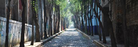 Tlalpan Visitors Guide