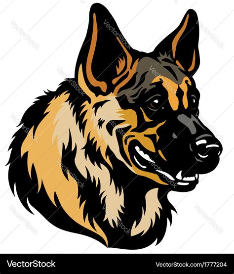 German shepherd head Royalty Free Vector Image