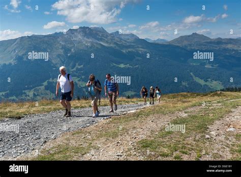 A small group of adult hikers on the Madrisa to Klosters hiking trail ...