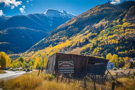 Fall Foliage - Aspen Trees in Telluride - Latitude 38 Vacation Rentals