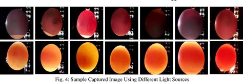 [PDF] An Automated Candling System for Duck Egg Fertility Detection, Sorting, and Counting via ...