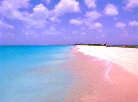 Praia de areia rosa, Bahamas | Wallpaper é ao Domingo! - FCiências