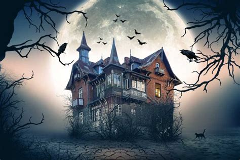 Halloween Haunted House backdrop 3 - Mybackdrop.co.uk