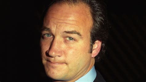 The Real Reason Jim Belushi Got Fired From SNL