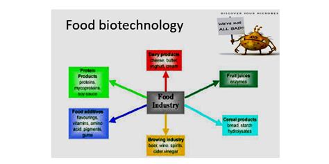 Microbial Biotechnology, Bio-processing, Fermentation; Its types, characteristics, Food ...