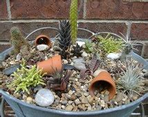 Popular items for cactus arrangement on Etsy