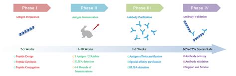 Growing Interest In Polyclonal Antibodies - Copsctenerife