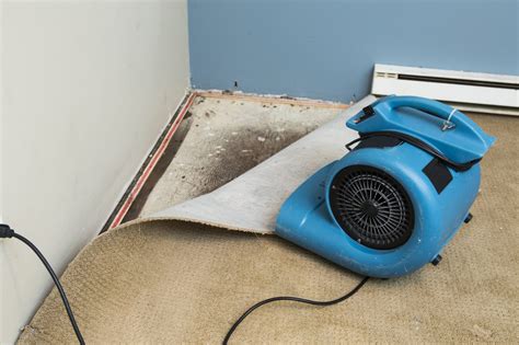 Clean Up Water Damage to Prevent More Dangers