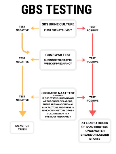 GBS Testing - Group B Strep International