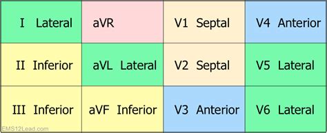 Contiguous and reciprocal lead charts | Ekg interpretation, Heart ...