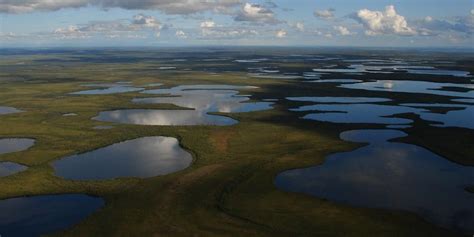 Banks Island (Sachs Harbour, NWT Canada) cruise port schedule | CruiseMapper