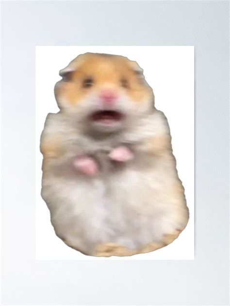 "scared hamster meme" Poster for Sale by ellievivien | Redbubble