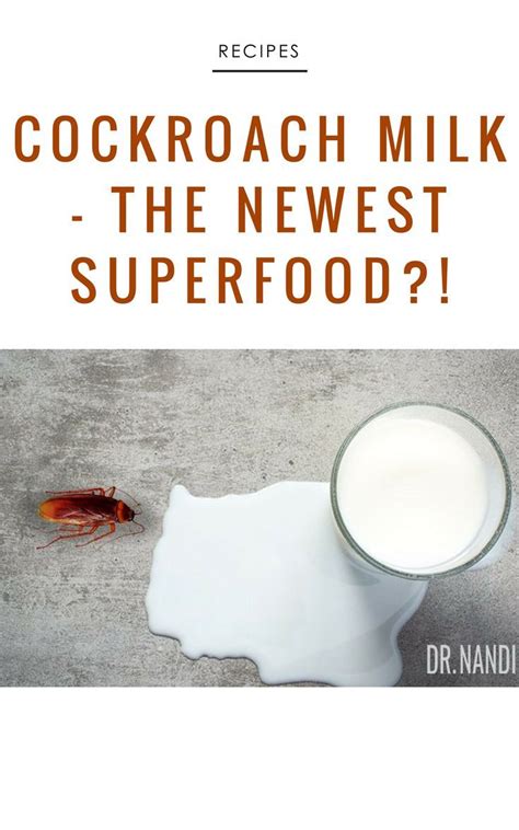 Cockroach Milk- The Newest Superfood?| Ask Dr. Nandi | Official Site | Superfood, Organic ...