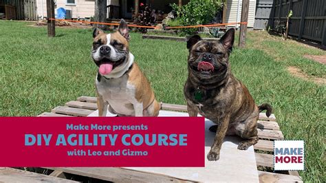 DIY Backyard Dog Agility Course - YouTube