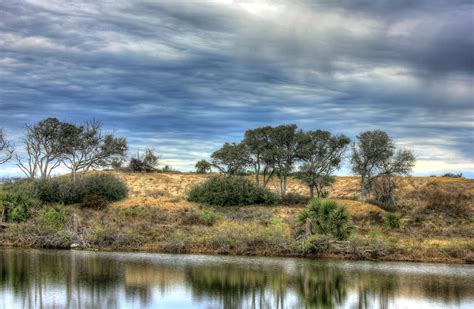 Across the Lake at Galveston Island State Park, Texas image - Free stock photo - Public Domain ...