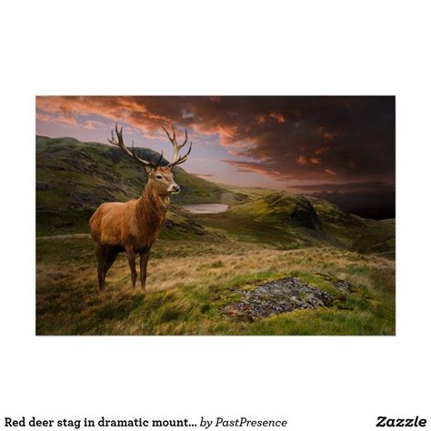 Red deer stag in dramatic mountain landscape poster | Zazzle | Nature wall art, Landscape poster ...