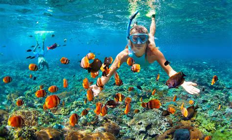 Marietas Island Snorkel | Puerto Vallarta Shore Excursion | Mexican Riviera Cruise Tours