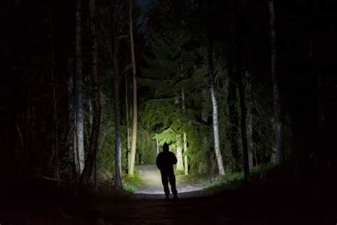 160+ Man Darkness Flashlight Head Stock Photos, Pictures & Royalty-Free Images - iStock