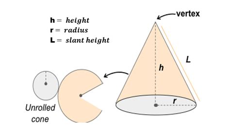 Lateral Surface Area of a Cone | Definition, Examples, Concepts - Worksheets Library