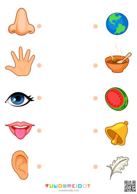 Math The Picture To The Correct Five Senses Touch Taste Hearing Sight 8C0