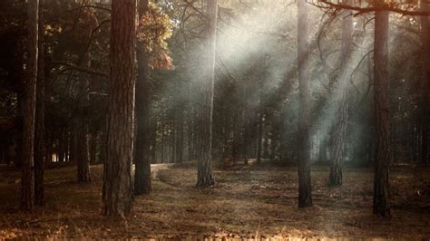 How to Simulate Realistic Light Rays Effects in Adobe Photoshop