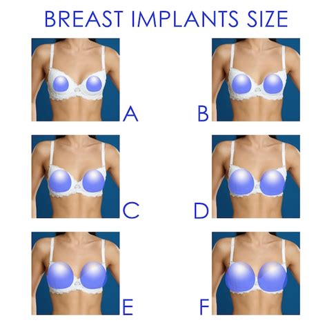 Premium Vector Female breast of different types sizes and forms ...