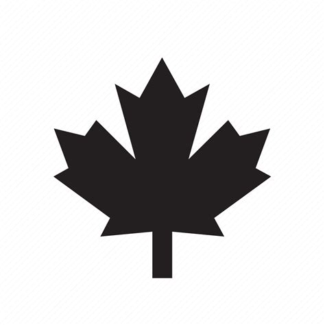 Canada, canadian, leaf, maple, nature icon - Download on Iconfinder