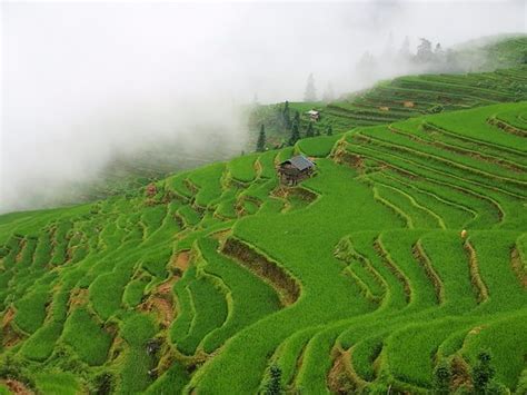 Jiabang Rice Terraces (Congjiang County) - 2020 All You Need to Know BEFORE You Go (with Photos ...