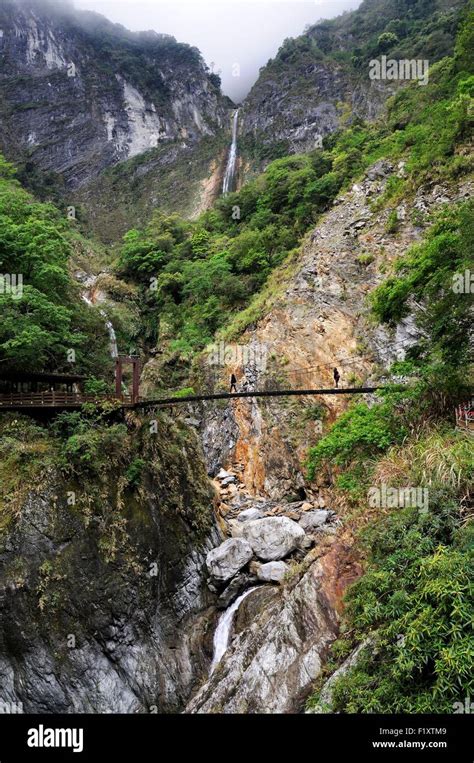 Taiwan, Hualien (Hualian), Taroko national park, bridge on Baiyang waterfall trail in the Taroko ...