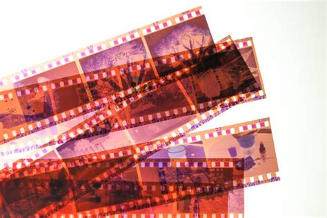 Photography film negatives on 35 mm film | 35mm film, Film camera ...