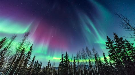 Northern lights: See aurora borealis across northern US states