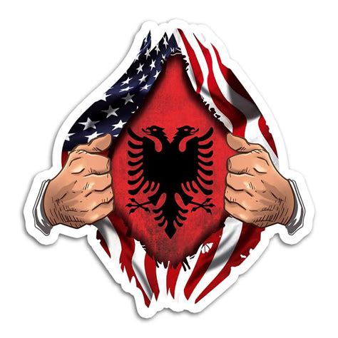 Gift Sticker : Albania Flag USA American Chest Albanian Expat Country ...